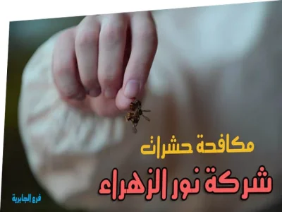 طرق مكافحة حشرات