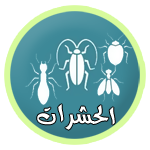 نور الزهراء للحشرات
