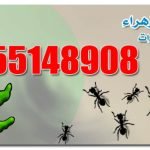 خدمات المكافحة طوال اليوم 55933871