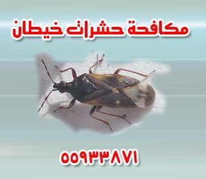 مكافحة حشرات خيطان