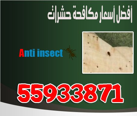 مكافحة حشرات بأفضل الأسعار